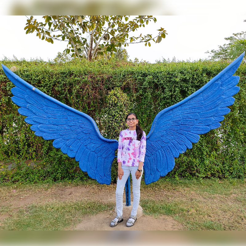 My Img1